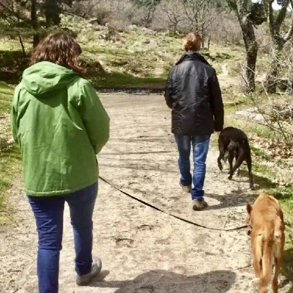 Paseando con perros en parque